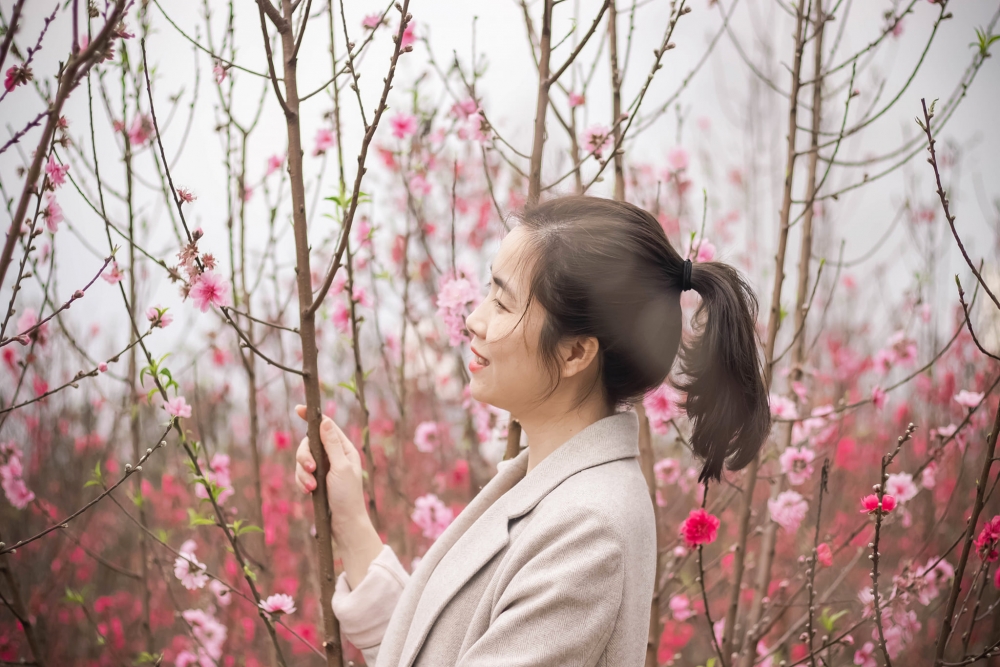 Vườn đào Nhật Tân nở rộ hút giới trẻ tới chụp ảnh