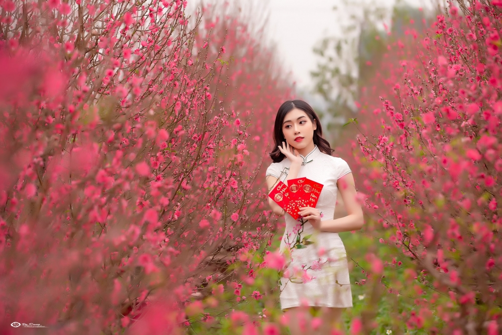 Đến làng Nhật Tân chụp ảnh cùng hoa đào, em Phạm Thùy Anh chia sẻ, chụp ảnh cùng hoa đào rất thú vị, cảm giác không khí Tết Nguyên Đán đã đến rất gần. Ảnh: Vũ Dũng