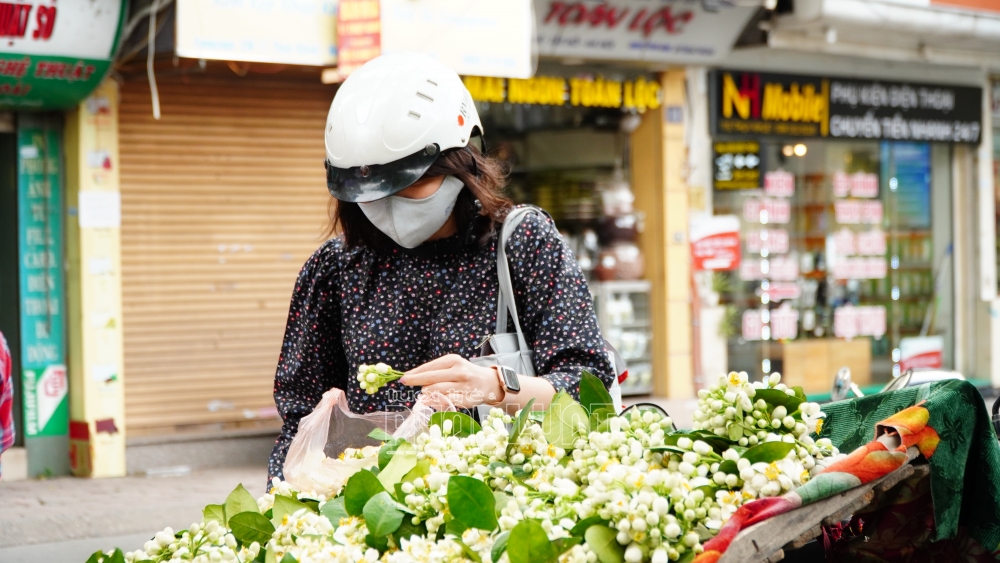 Hà Nội: Hoa bưởi xuống phố đón rằm tháng Giêng