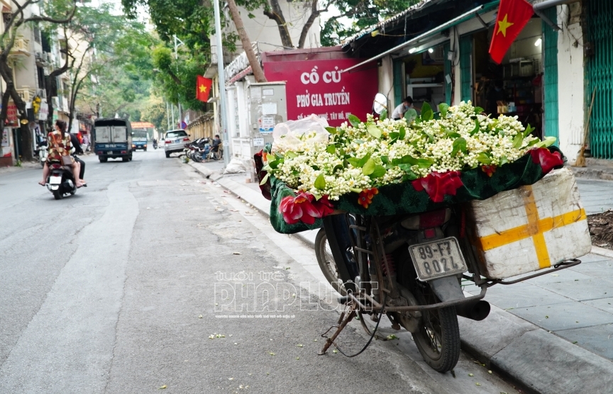 Hà Nội: Hoa bưởi xuống phố đón rằm tháng Giêng