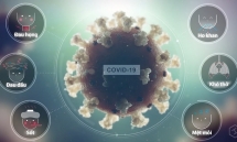 Covid-19 gây tổn thương cơ thể thế nào?