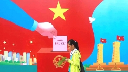 14 don vi bau cu dai bieu hdnd thanh pho hai phong