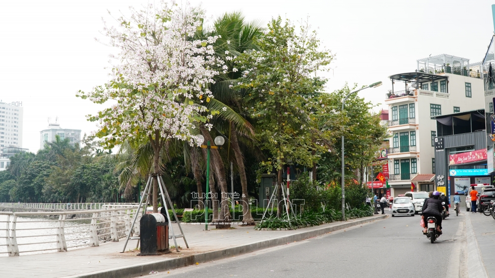 Sau vụ việc một số người nước ngoài bị quấy rối xảy ra trên địa bàn phường Quảng An từ tháng 1/2021 đến nay, UBND quận Tây Hồ sẽ lắp đặt camera giám sát nơi công cộng