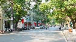 hai phong tap trung chinh trang cac tuyen duong noi do