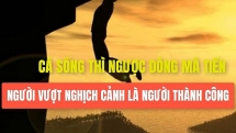 ca vuot nguoc dong la ca song nguoi vuot nghich canh nguoi thanh cong