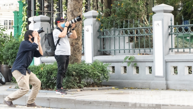 Đàn bồ câu nhẩn nha kiếm ăn bên hồ Gươm dan bo cau nhan nha kiem an ben bo ho guom