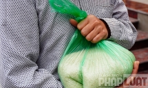 Hà Nội nhân bản "ATM gạo" phát miễn phí cho người dân