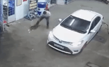 Tài xế ô tô "tiện tay" bế con chó vào trong xe khi đổ xăng