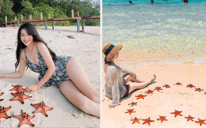 loat sao viet bi dao lai anh chup voi sao bien sau su viec o phu quoc