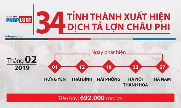 infographic 34 tinh thanh xuat hien dich ta lon chau phi