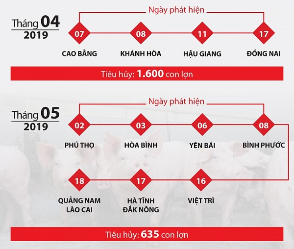 infographic 34 tinh thanh xuat hien dich ta lon chau phi