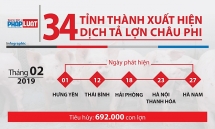 infographic dich ta lon chau phi quet qua 34 tinh thanh tieu diet 15 trieu con lon