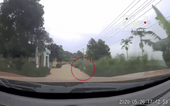 Cậu bé bất ngờ lao ra đường khiến tài xế toát "mồ hôi lạnh"