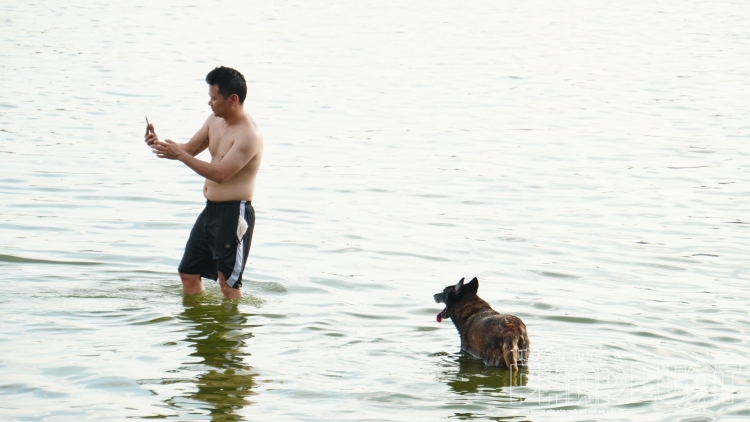 Dân Hà Nội tắm cùng chó cưng ở Hồ Tây dan ha noi tam cung cho cung o ho tay