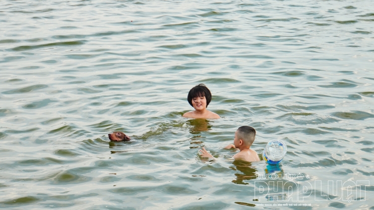 Dân Hà Nội tắm cùng chó cưng ở Hồ Tây dan ha noi tam cung cho cung o ho tay