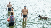 Dân Hà Nội tắm cùng chó cưng ở Hồ Tây