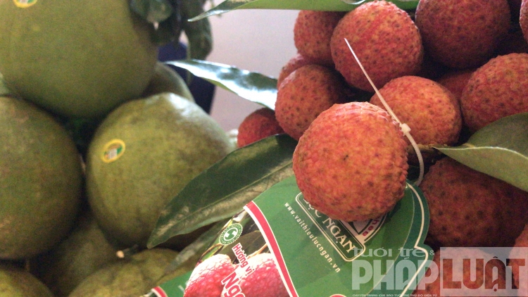 Mãn nhãn cây trái tại “Tuần lễ Vải thiều Lục Ngạn” năm 2019