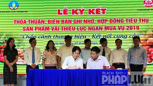 khai mac su kien tuan le vai thieu luc ngan tai ha noi nam 2019