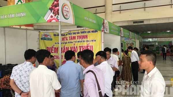 khai mac su kien tuan le vai thieu luc ngan tai ha noi nam 2019