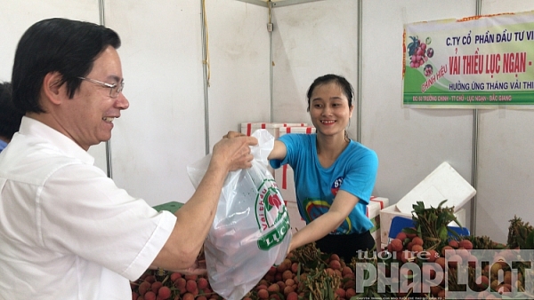 khai mac su kien tuan le vai thieu luc ngan tai ha noi nam 2019