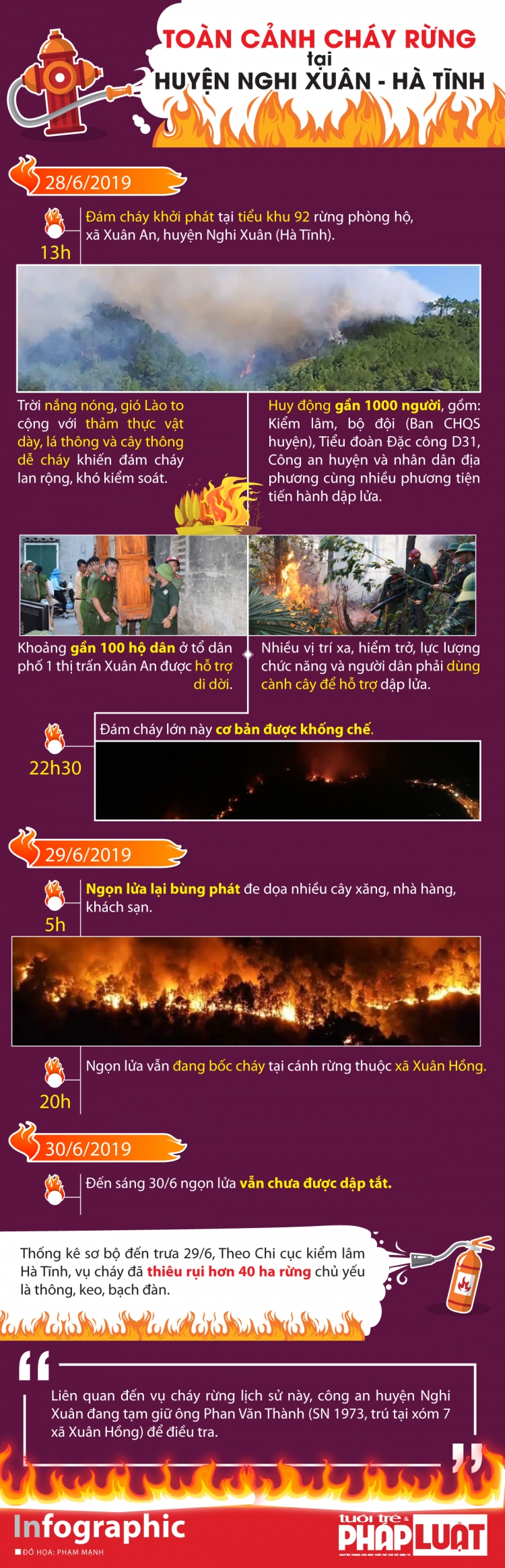 toan canh rung thong o ha tinh bi giac lua nuot tron