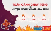 toan canh rung thong o ha tinh bi giac lua nuot tron