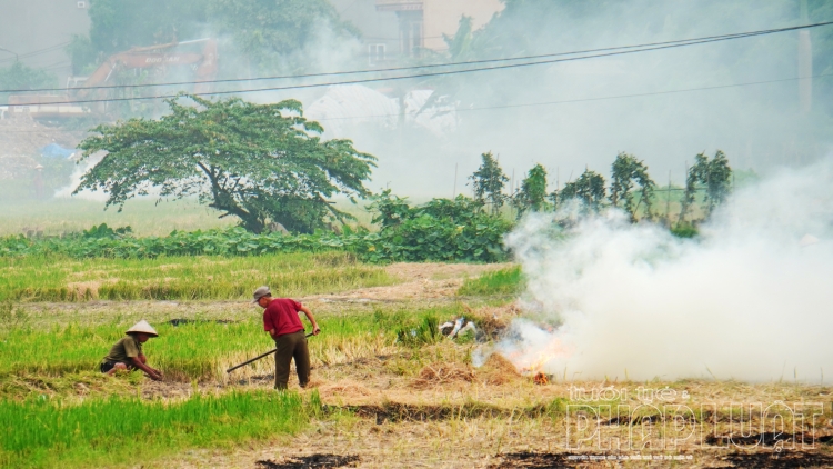 khoi mu mit sau vu thu hoach lua o ngoai thanh