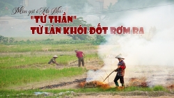 mua gat o ha noi tu than tu lan khoi dot rom ra