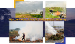Hà Nội: Hệ lụy khó lường từ vấn nạn đốt rơm rạ