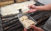 Món đậu phụ lông khiến nhiều người khiếp sợ lại có hương vị tuyệt vời