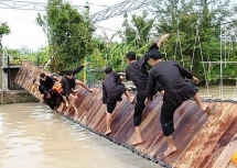 Rung lắc cầu giữ thăng bằng, trò chơi hài hước hút khách du lịch
