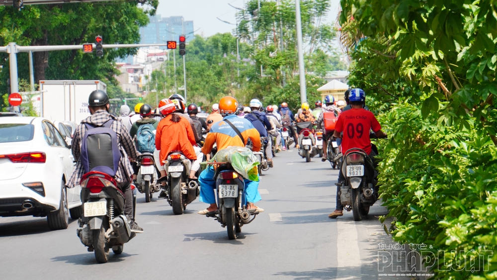 Phượng tím - đặc sản Đà Lạt trổ bông bên bờ sông Tô Lịch