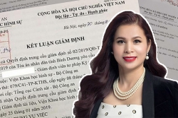 tai lieu giam dinh tai binh duong hoan toan khac tai lieu trong ho so bi khoi to