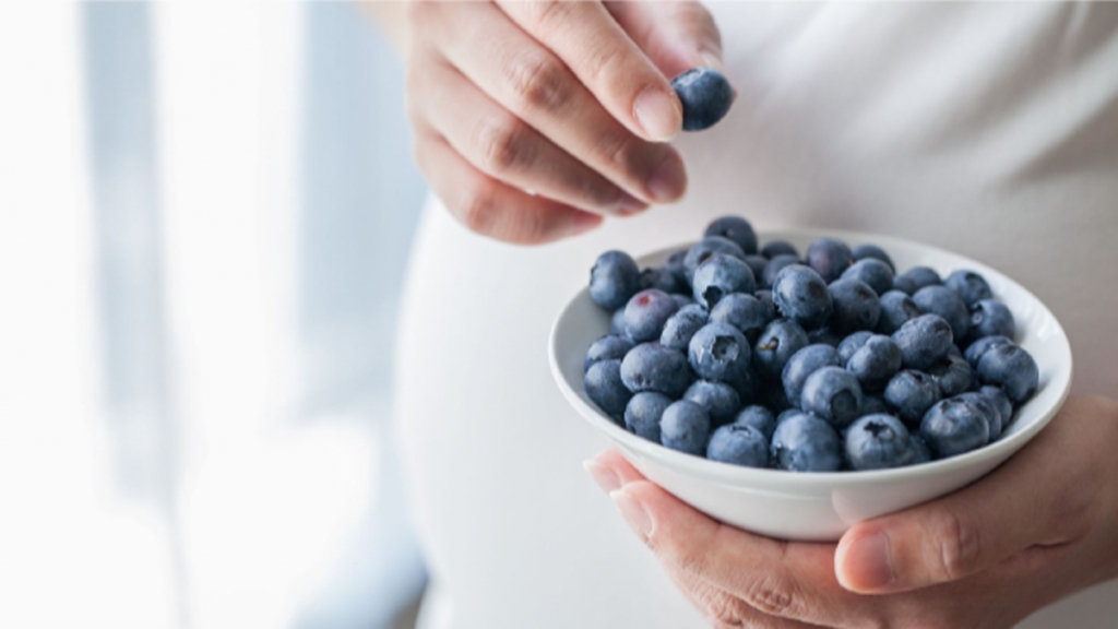 4 công dụng không thể bỏ qua của quả việt quất với phụ nữ có thai