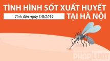 [Infographic] Tình hình sốt xuất huyết tại hà nội