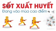 [Infographic] Dịch sốt xuất huyết đang vào mùa cao điểm