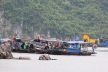 Hơn 20 nghìn tàu bè ở Quảng Ninh được neo đậu tránh bão Wipha