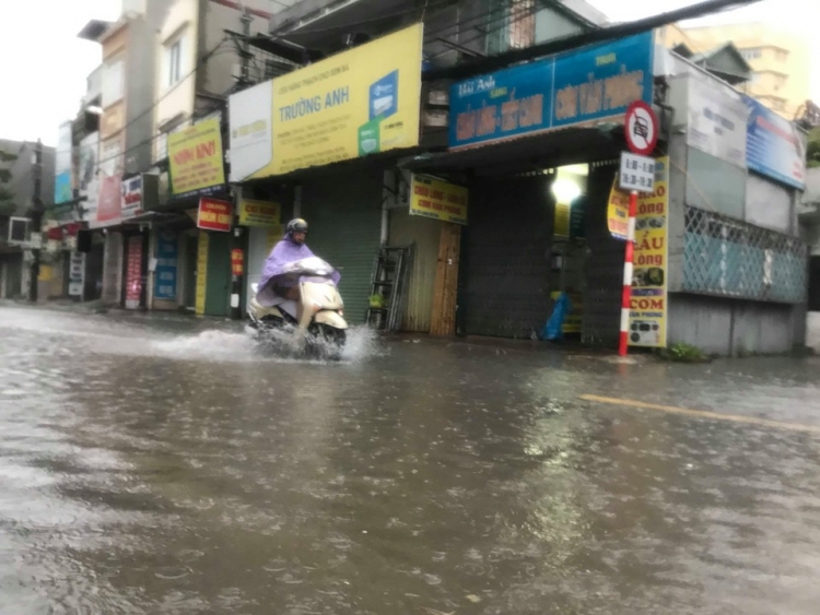 bao wipha ve trong dem gio lon quat cay coi ngon ngang o ha noi