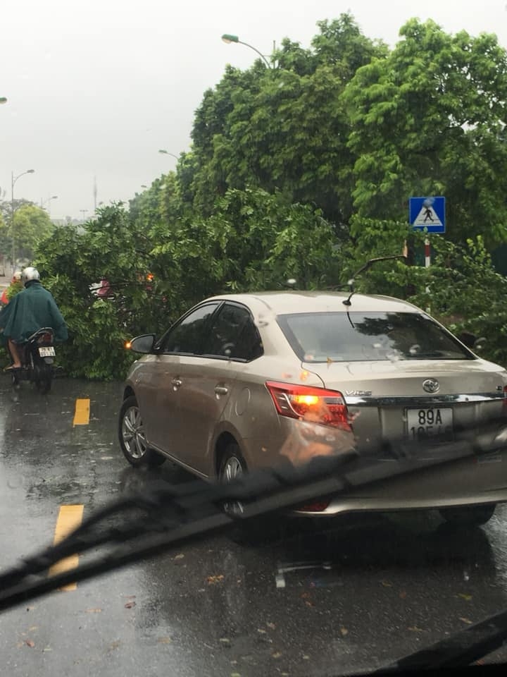 bao wipha ve trong dem gio lon quat cay coi ngon ngang o ha noi