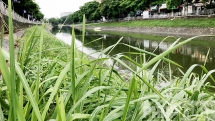 Cải tạo ô nhiễm sông Tô Lịch, sông Nhuệ: Sẽ lắp 8 trạm bơm dã chiến