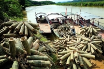 Ghé thăm làng đan rọ tôm "đẹp như tranh vẽ" bên hồ Thác Bà