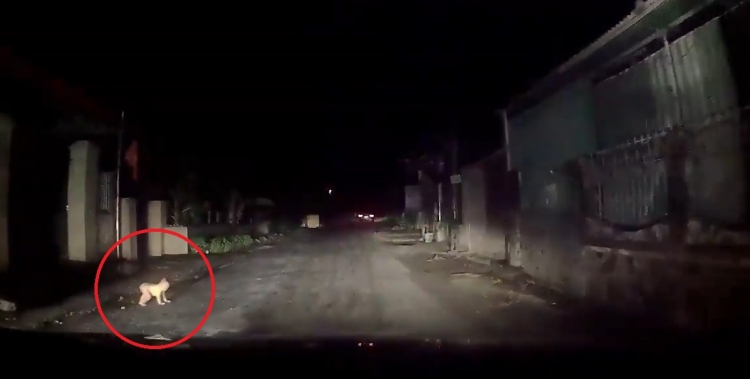 Tài xế hốt hoảng phát hiện em bé bò ra đường giữa đêm tối