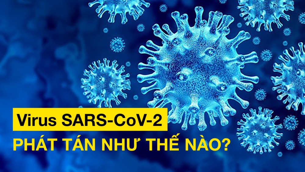 Virus SARS-CoV-2 phát tán như thế nào?