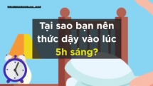 Tại sao bạn nên thức dậy lúc 5h?