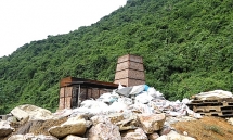 Lò đốt rác điện tử xây trái phép trong rừng