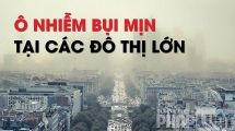 Ô nhiễm bụi mịn tại các thành phố lớn