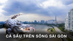tp ho chi minh canh bao co ca sau tren song sai gon