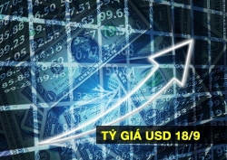 ty gia ngoai te hom nay 189 usd tiep da tang euro giam manh