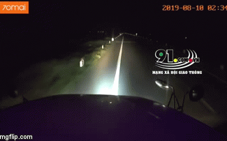 Tài xế xe container đâm hàng loạt cột mốc, lao xuống ruộng