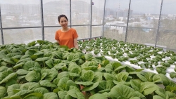 Gia đình trẻ biến sân thượng trống thành ‘khu vườn trên mây’